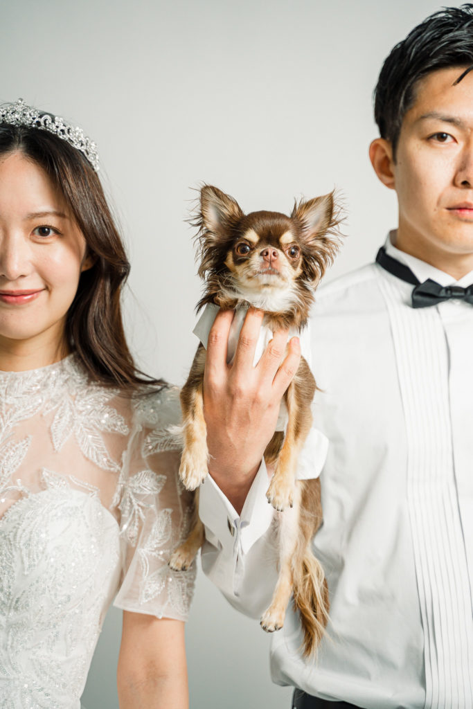 INAI WEDDING 東京スタジオで撮影された愛犬と一緒に撮るウェディングフォト（白背景）