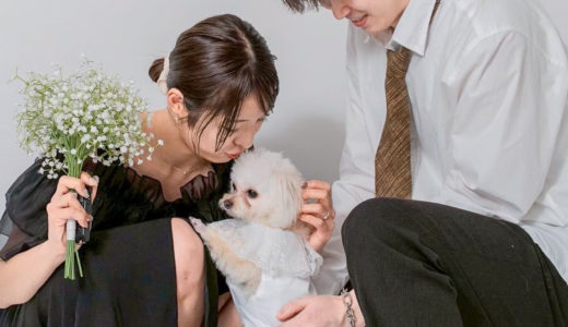 下のソーシャルリンクからフォロー