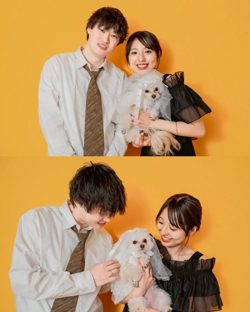INAI WEDDING 東京スタジオで撮影された愛犬と一緒に撮るウェディングフォト（イエロー背景）